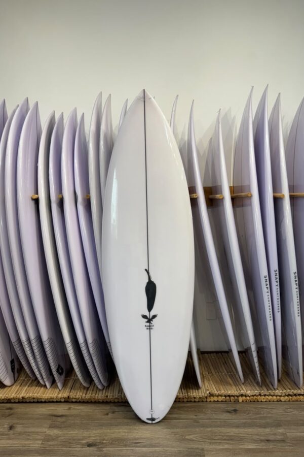 Chilli - Rarest Bird 5’9 20.1/8 x 2.7/16 = 31L